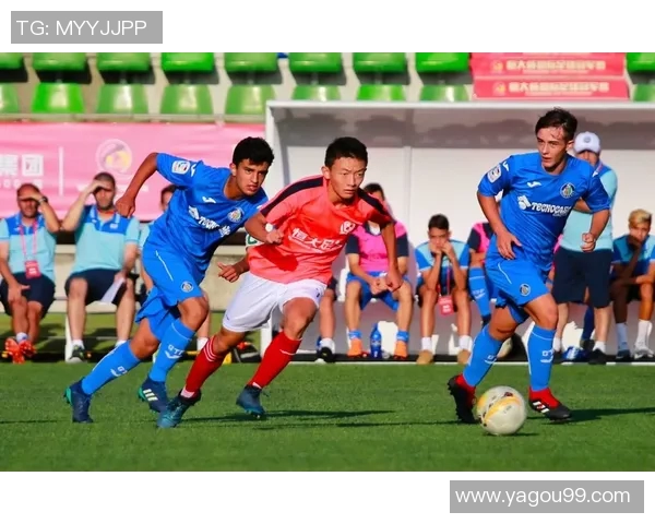 足球明星训练培训班助你实现足球梦想提升技能与竞技水平的完美选择